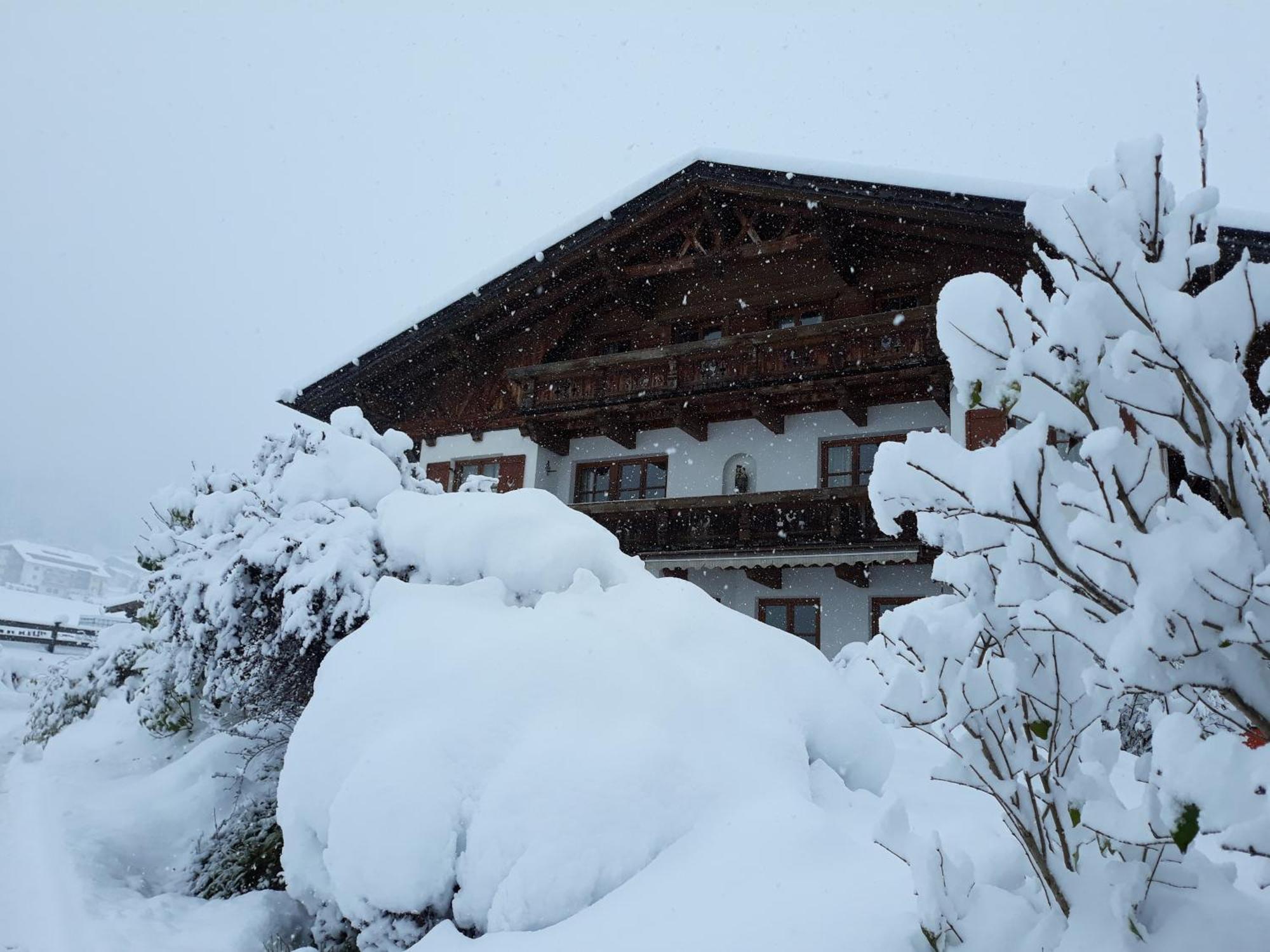 Schottenhof Fulpmes Exterior foto